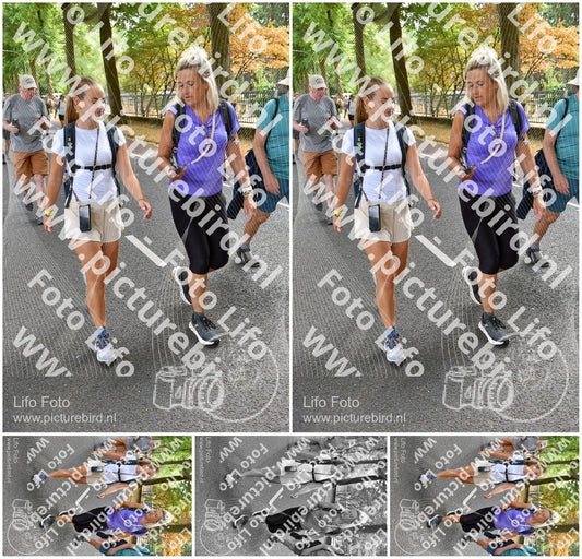 Evenement foto: Nijmeegse Vierdaagse 775