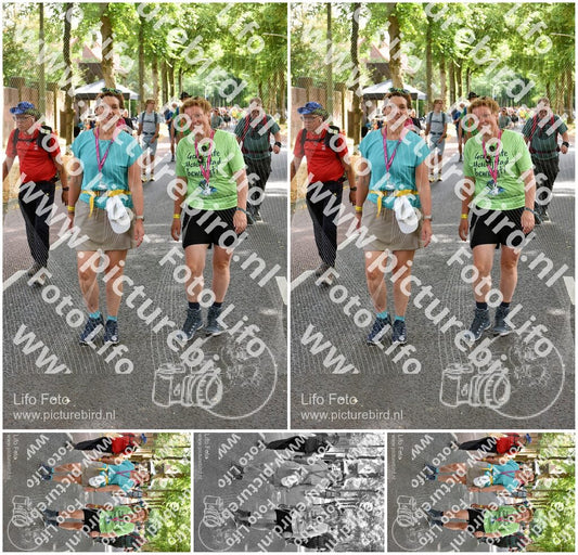 Evenement foto: Nijmeegse Vierdaagse 775
