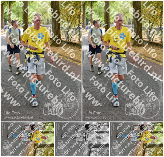Evenement foto: Nijmeegse Vierdaagse 775