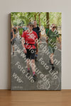 Evenement foto: Nijmeegse Vierdaagse 775