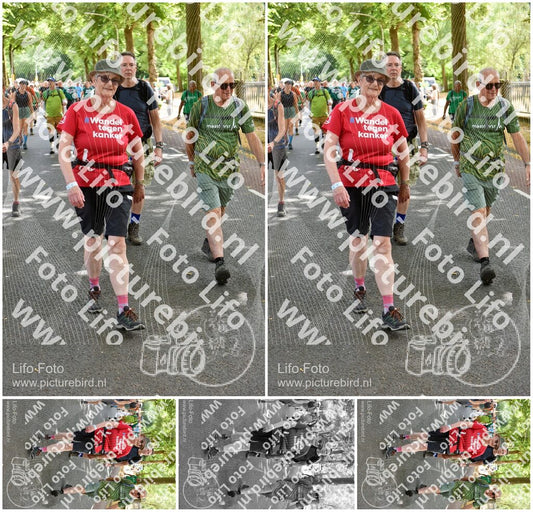 Evenement foto: Nijmeegse Vierdaagse 775