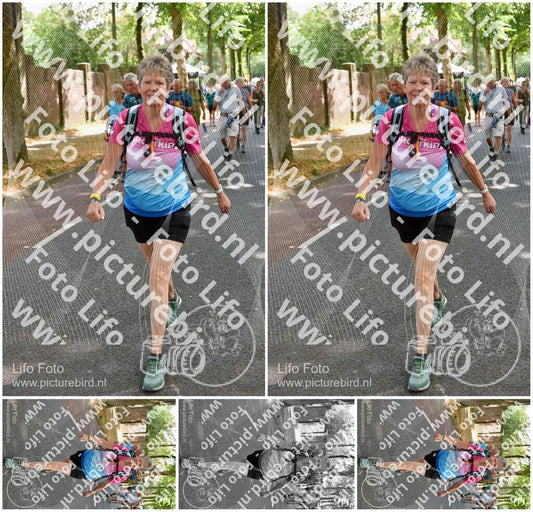 Evenement foto: Nijmeegse Vierdaagse 775