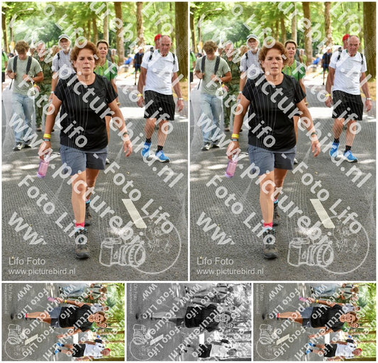 Evenement foto: Nijmeegse Vierdaagse 775