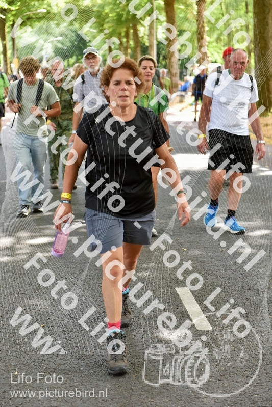 Evenement foto: Nijmeegse Vierdaagse 775