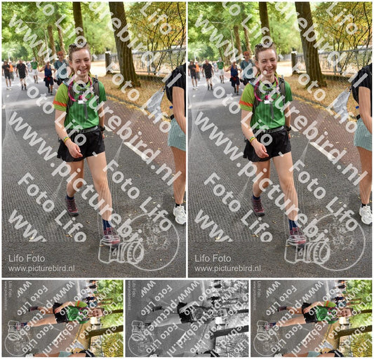 Evenement foto: Nijmeegse Vierdaagse 775
