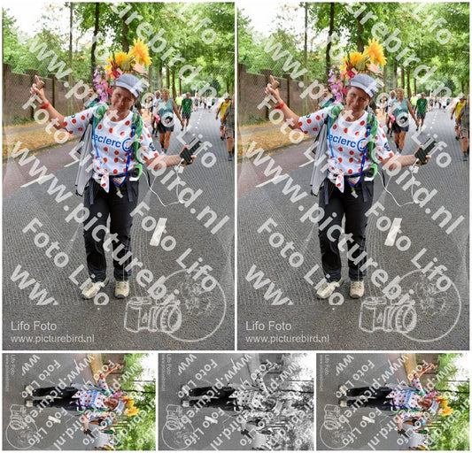 Evenement foto: Nijmeegse Vierdaagse 775
