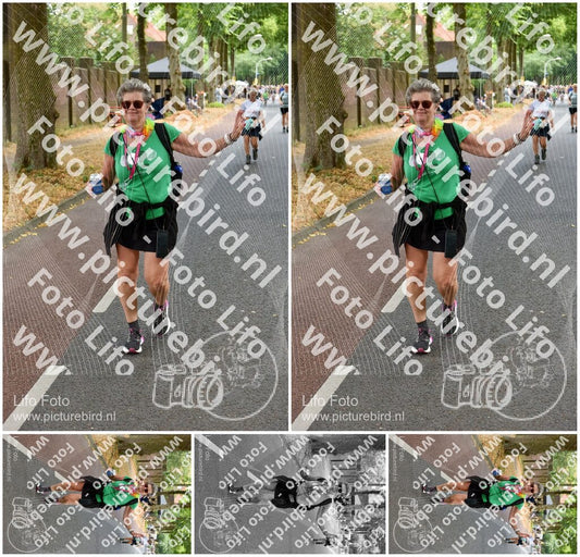 Evenement foto: Nijmeegse Vierdaagse 775