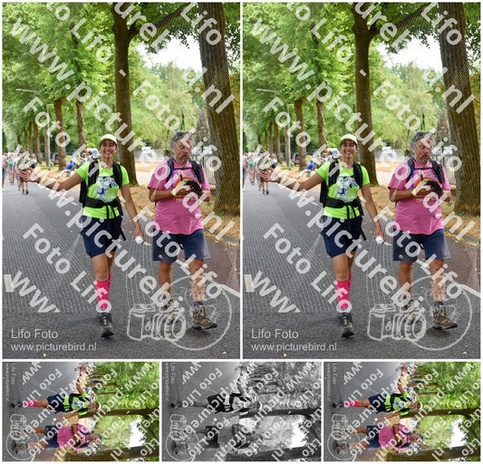 Evenement foto: Nijmeegse Vierdaagse 775