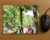 Evenement foto: Nijmeegse Vierdaagse 775