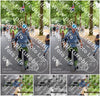 Evenement foto: Nijmeegse Vierdaagse 775