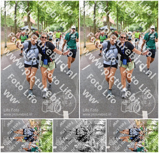 Evenement foto: Nijmeegse Vierdaagse 775