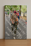 Evenement foto: Nijmeegse Vierdaagse 775