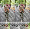 Evenement foto: Nijmeegse Vierdaagse 775