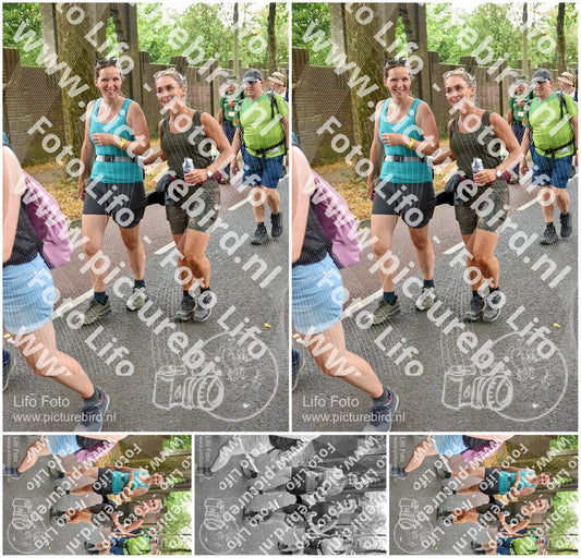 Evenement foto: Nijmeegse Vierdaagse 775