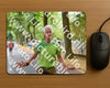 Evenement foto: Nijmeegse Vierdaagse 775