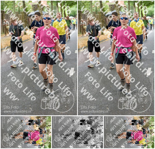 Evenement foto: Nijmeegse Vierdaagse 775