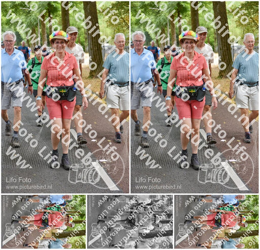 Evenement foto: Nijmeegse Vierdaagse 775