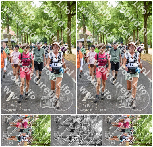 Evenement foto: Nijmeegse Vierdaagse 775