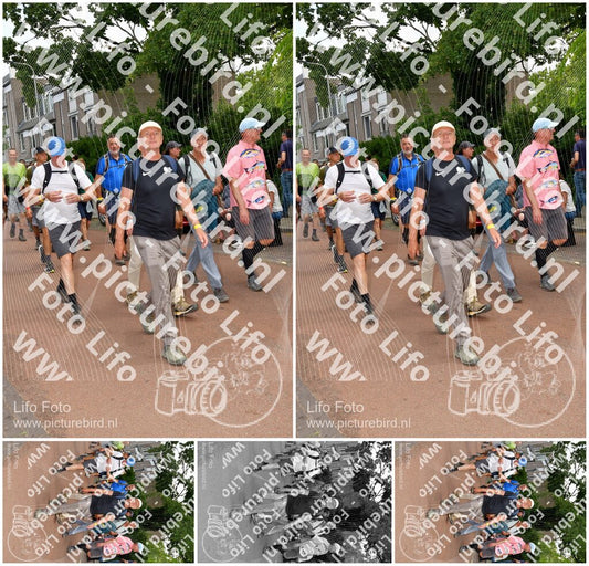 Evenement foto: Nijmeegse Vierdaagse 1171