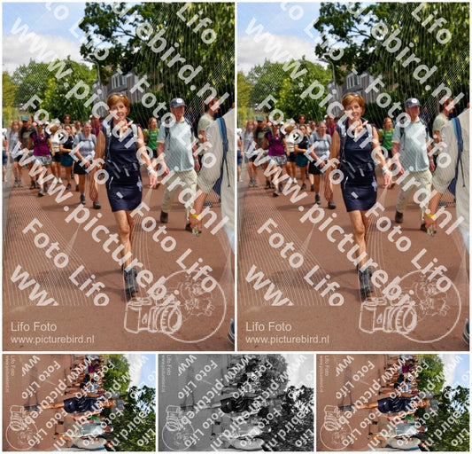 Evenement foto: Nijmeegse Vierdaagse 1171