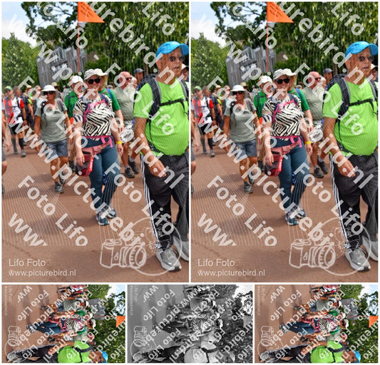 Evenement foto: Nijmeegse Vierdaagse 1171