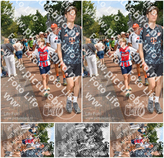 Evenement foto: Nijmeegse Vierdaagse 1171