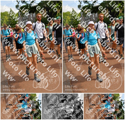 Evenement foto: Nijmeegse Vierdaagse 1171