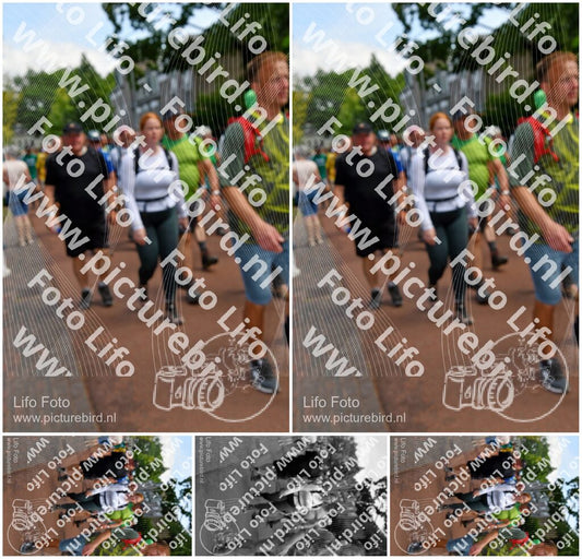 Evenement foto: Nijmeegse Vierdaagse 1171