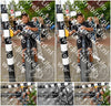 Evenement foto: Nijmeegse Vierdaagse 1171