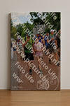 Evenement foto: Nijmeegse Vierdaagse 1171