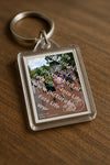 Evenement foto: Nijmeegse Vierdaagse 1171