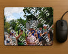 Evenement foto: Nijmeegse Vierdaagse 1171