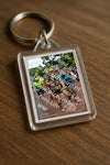 Evenement foto: Nijmeegse Vierdaagse 1171