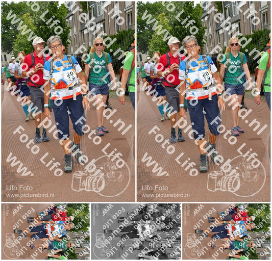 Evenement foto: Nijmeegse Vierdaagse 1170
