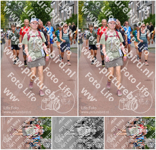 Evenement foto: Nijmeegse Vierdaagse 1170