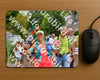 Evenement foto: Nijmeegse Vierdaagse 1170
