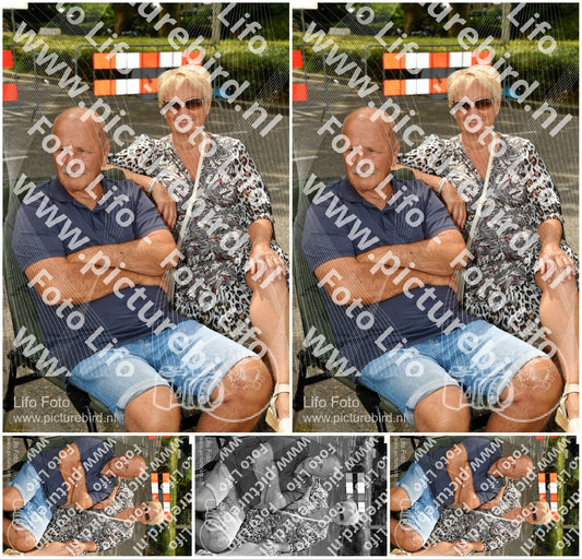 Evenement foto: Nijmeegse Vierdaagse 1170