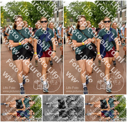 Evenement foto: Nijmeegse Vierdaagse 1170