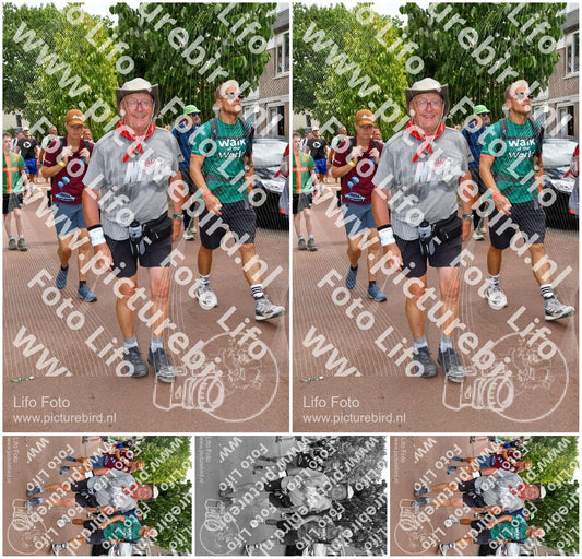 Evenement foto: Nijmeegse Vierdaagse 1170