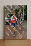 Evenement foto: Nijmeegse Vierdaagse 1170