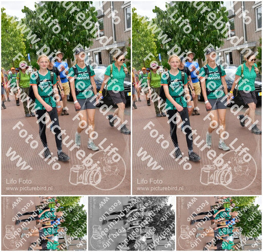 Evenement foto: Nijmeegse Vierdaagse 1170