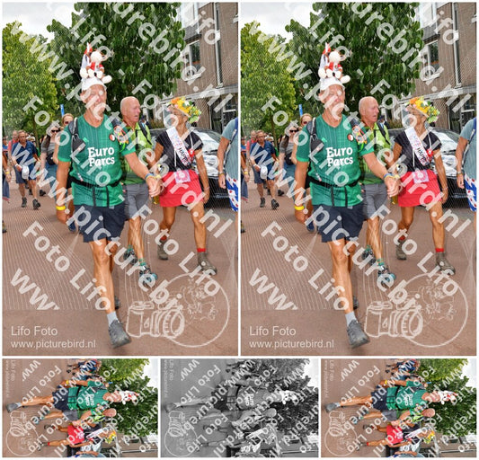Evenement foto: Nijmeegse Vierdaagse 1170