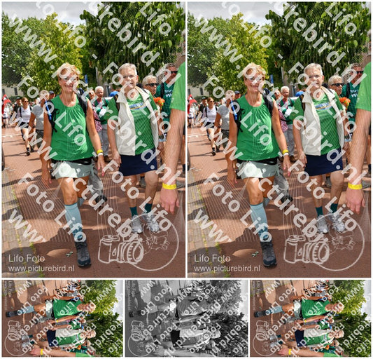 Evenement foto: Nijmeegse Vierdaagse 1170