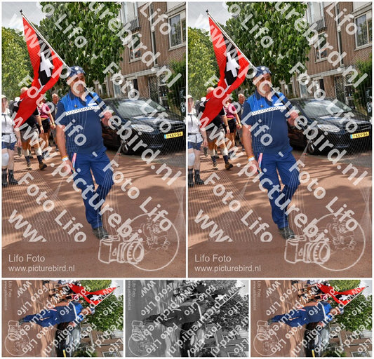 Evenement foto: Nijmeegse Vierdaagse 1170