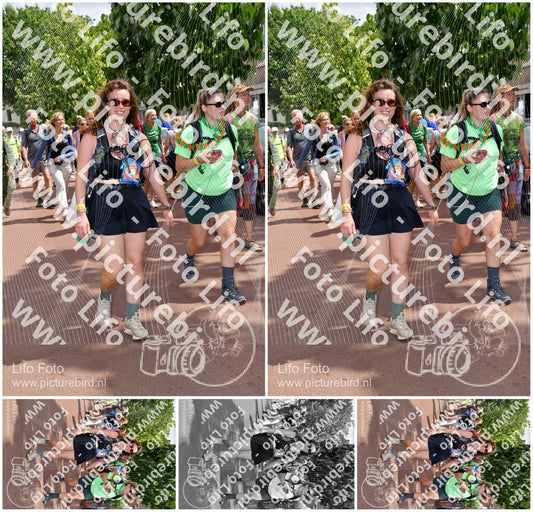 Evenement foto: Nijmeegse Vierdaagse 1170