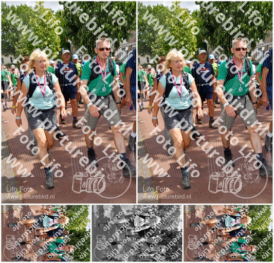 Evenement foto: Nijmeegse Vierdaagse 1170