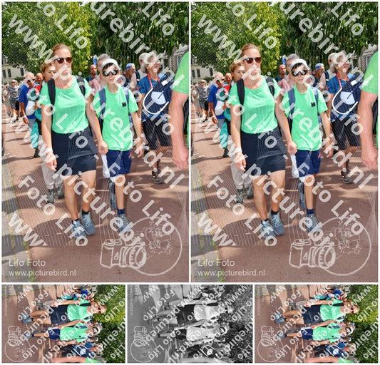 Evenement foto: Nijmeegse Vierdaagse 1170
