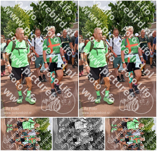 Evenement foto: Nijmeegse Vierdaagse 1170