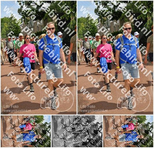 Evenement foto: Nijmeegse Vierdaagse 1170