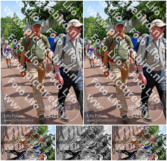 Evenement foto: Nijmeegse Vierdaagse 1170